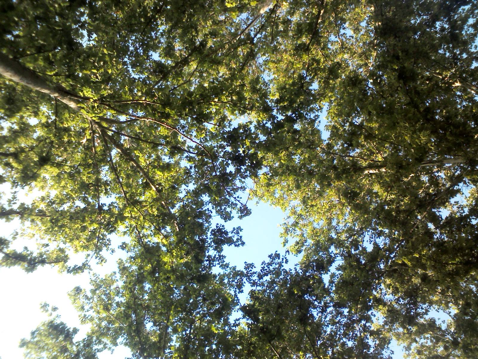 2017: Don’t Look Back in Anger