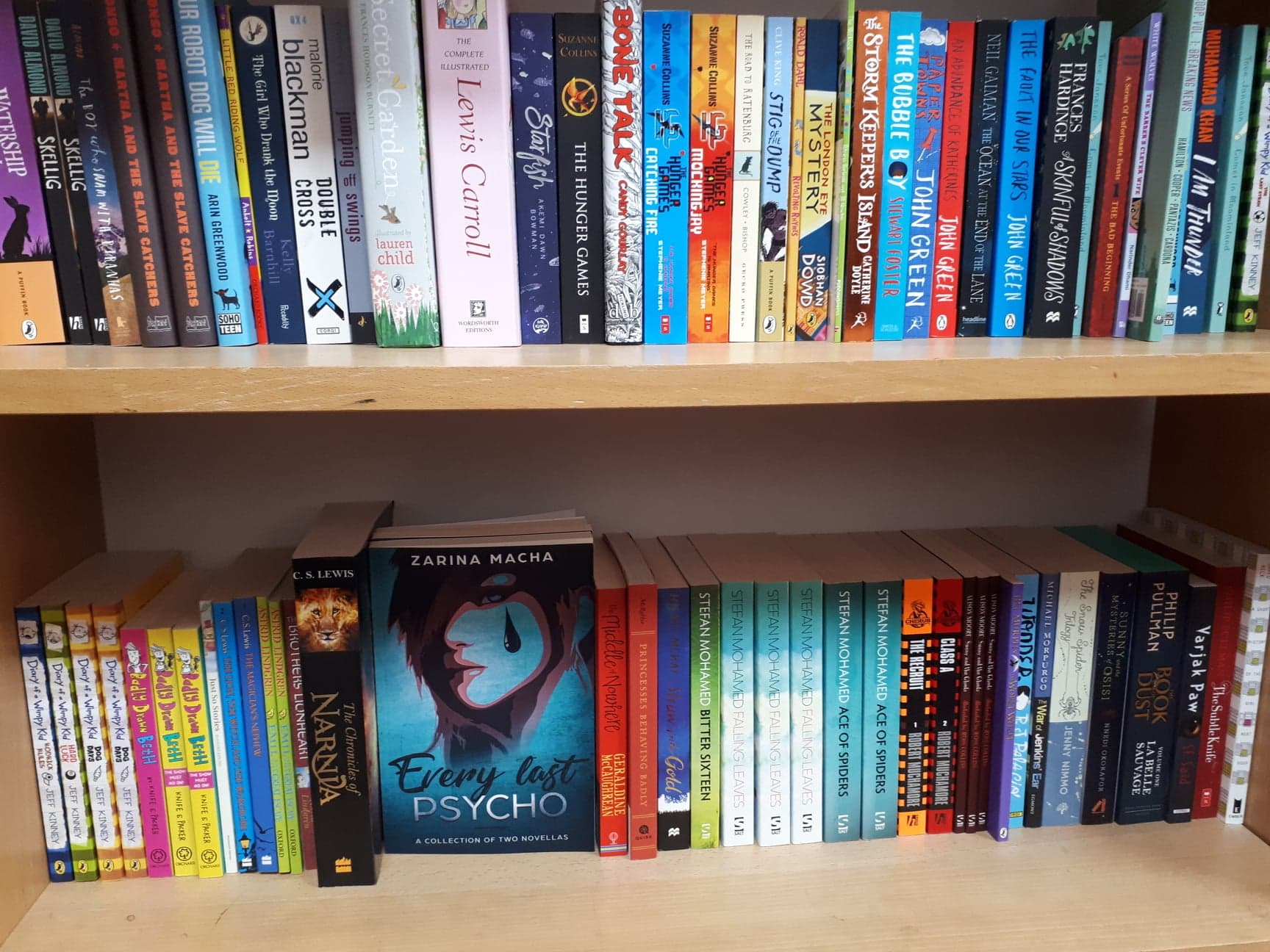 Unintentional Book Promo